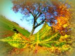 JESIENNIE_OKIEM_SERCA_EWY_WASZAK_11
