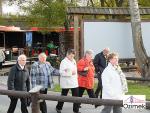 DZIEN_SENIORA_2013_7