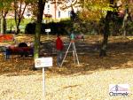 OZIMEK_SKWEREK_14.10.2013