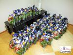 SCHODNIA_MIKOLAJ_2013_12_07_6