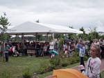 ORKIESTRA_DETA_PARADA_OD_DW_2014_3