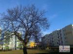12_Kopiowanie