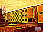 13_Kopiowanie