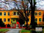 15_Kopiowanie