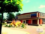 16_Kopiowanie
