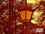 19_Kopiowanie