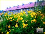 20_Kopiowanie