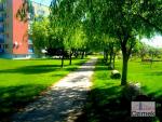 24_Kopiowanie