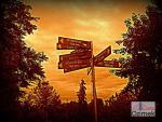 31_Kopiowanie