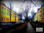 35_Kopiowanie