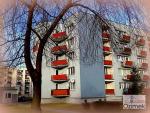 36_Kopiowanie