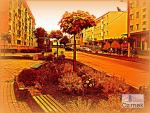 3_Kopiowanie