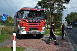 SCHODNIA_-_DOZYNKI_2014_366
