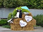 SCHODNIA_-_DOZYNKI_2014_607