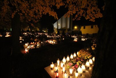 IMG_6895