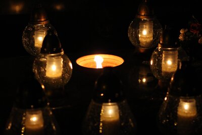 IMG_6929