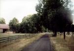 foto002