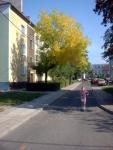 o_32_22_lipca