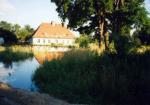 o_30_foto010