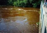 o_30_foto012