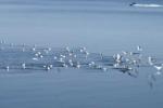 o_67_dscf9806