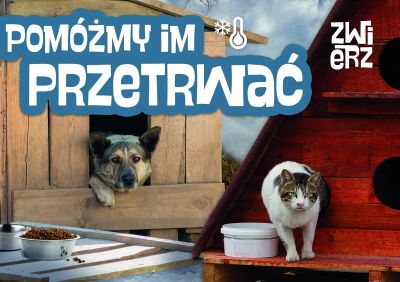 Mediazima2