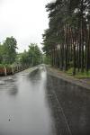 _DSC6520
