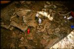 Stanowisko_paleontologiczne_w_Krasiejowie
